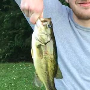 Meet your Posher, Tyler